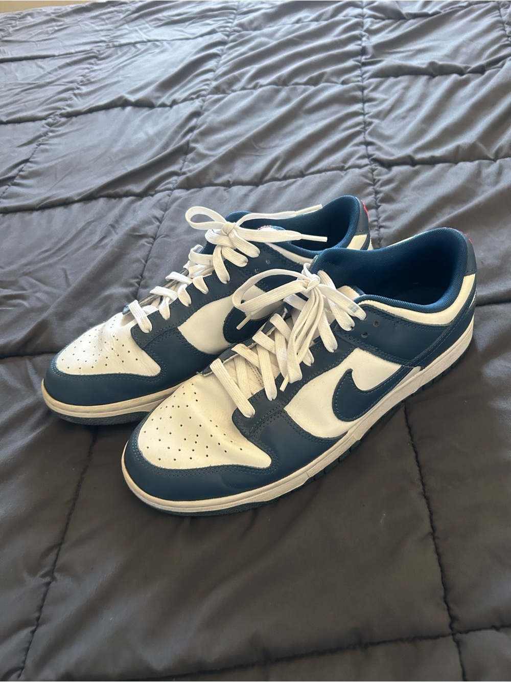 Nike Men’s Low-Top Sneakers in Navy and White